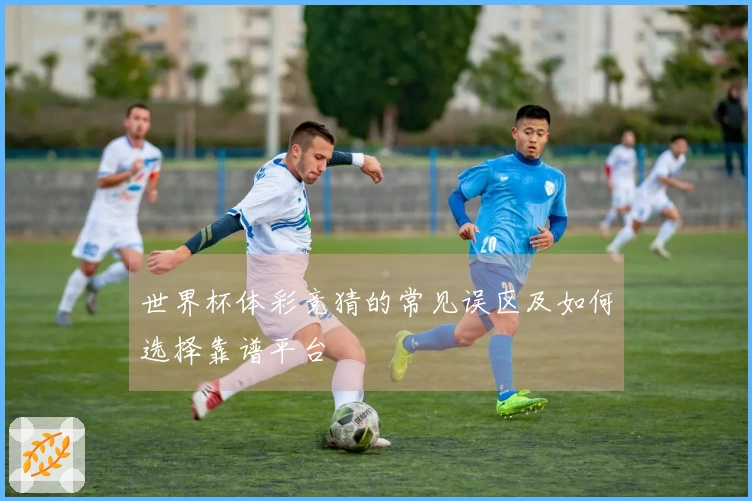 世界杯体彩竞猜的常见误区及如何选择靠谱平台