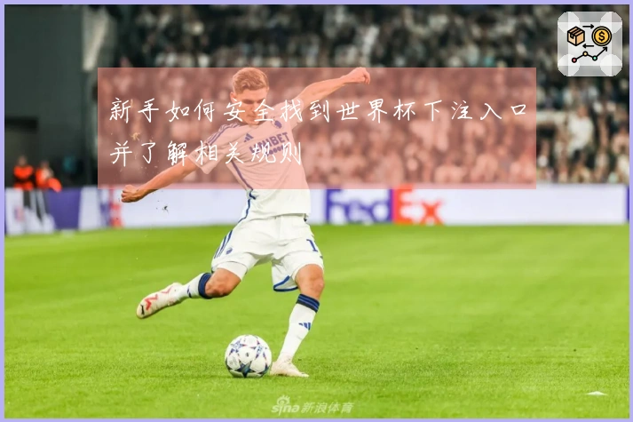 新手如何安全找到世界杯下注入口并了解相关规则