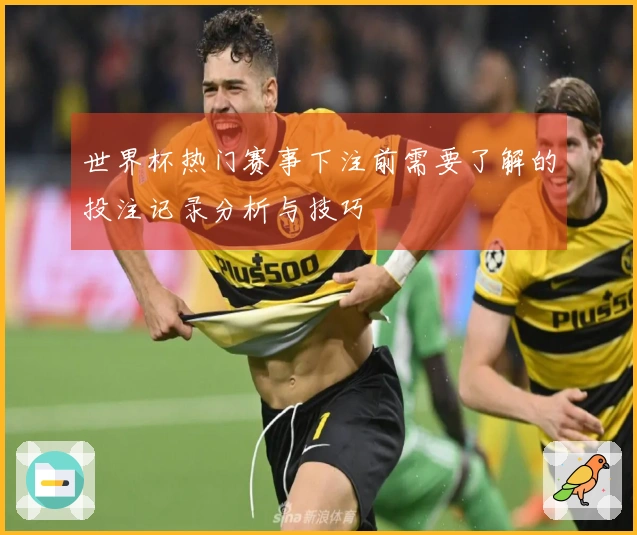 世界杯热门赛事下注前需要了解的投注记录分析与技巧
